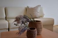 Apartment Suite Garten B (2-4 Pers.)