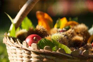 Fruit and chestnuts in a basket