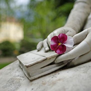 Statue Sissi mit Blume in der Hand