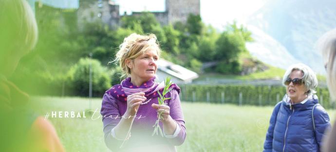 Kräuterwanderung in Völlan mit Freiheimexpertin Sigrid