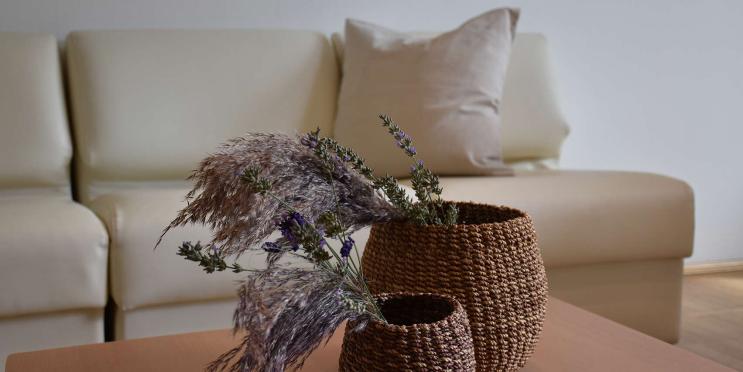 Apartment Suite Garten (2-5 ppl.)